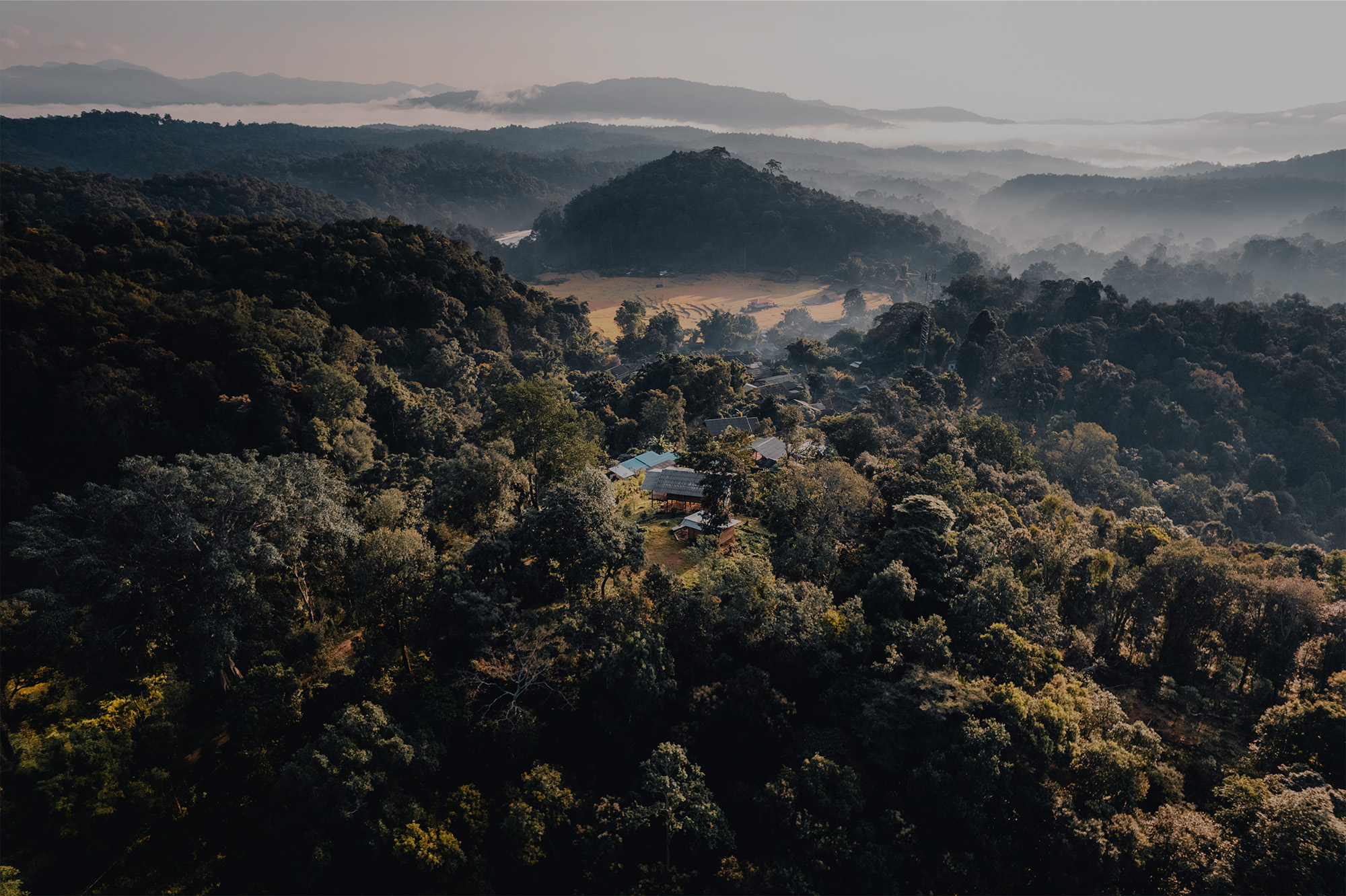 aerial-view-of-golden-rice-terrace-field-in-mornin-2023-11-27-04-49-29-utc