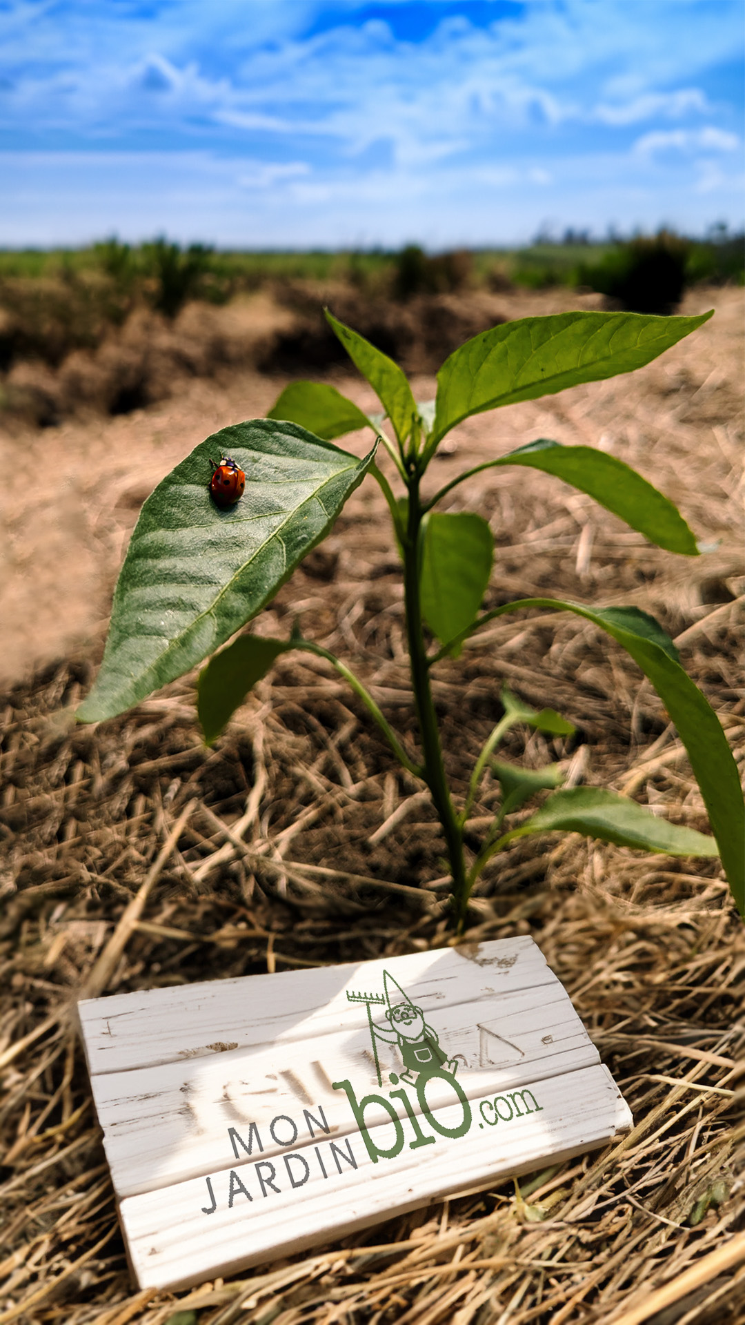 MonJardinBio.com